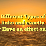 The Different Types of One way links and exactly how They Have an effect on SEO