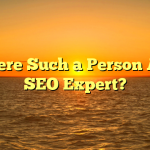 Is There Such a Person As an SEO Expert?