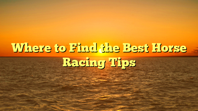 Where to Find the Best Horse Racing Tips