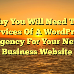 Why You Will Need The Services Of A WordPress Agency For Your New Business Website