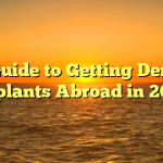 A Guide to Getting Dental Implants Abroad in 2023